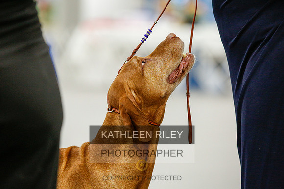2022-KathleenRileyPhotography-0120