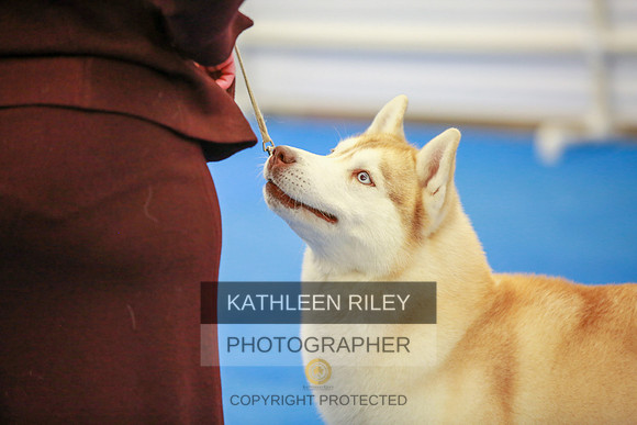 2022-KathleenRileyPhotography-5718