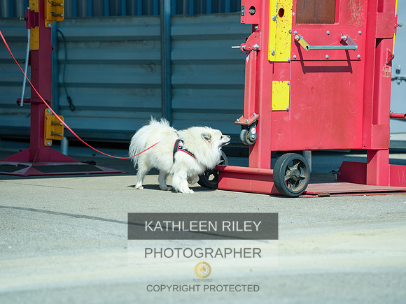 2022-KathleenRileyPhotography-03907