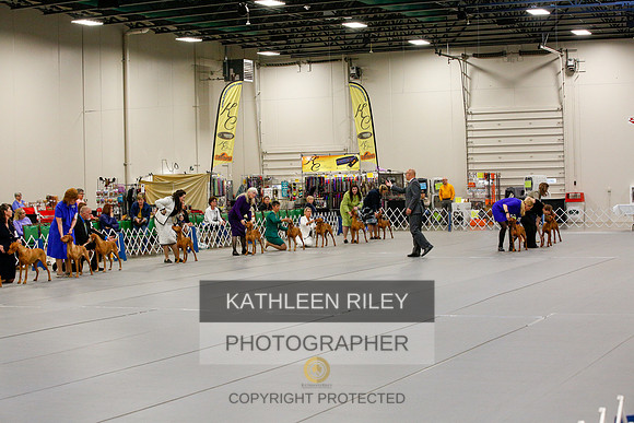2022-KathleenRileyPhotography-1397