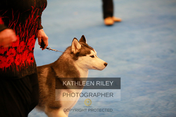 2022-KathleenRileyPhotography-5318
