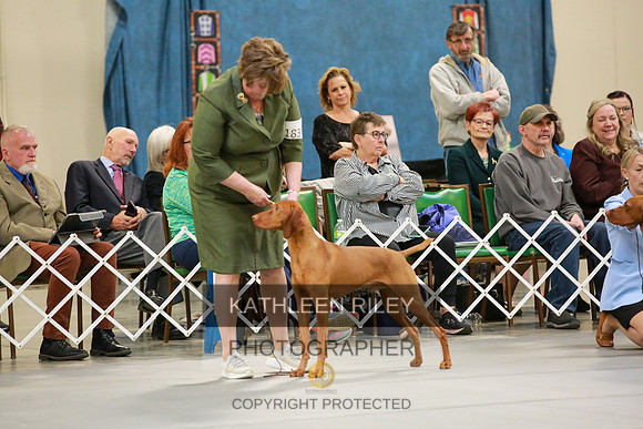 2022-KathleenRileyPhotography-8705