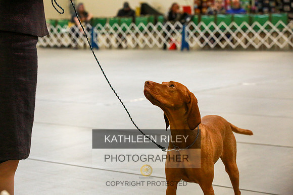 2022-KathleenRileyPhotography-8768