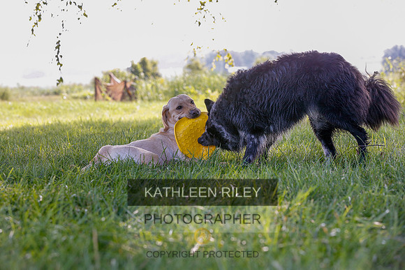 2022-KathleenRileyPhotography-7938