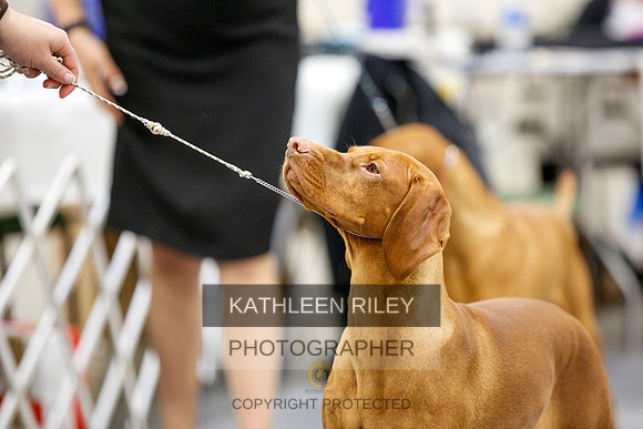 2022-KathleenRileyPhotography-2336