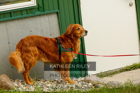 2022-KathleenRileyPhotography-0339