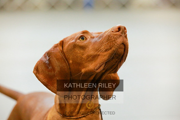 2022-KathleenRileyPhotography-8805