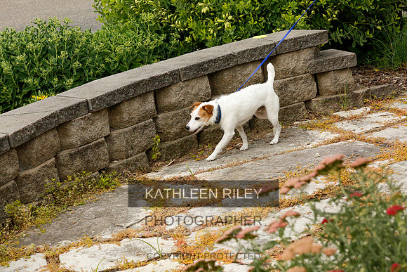 2022-KathleenRileyPhotography-9332