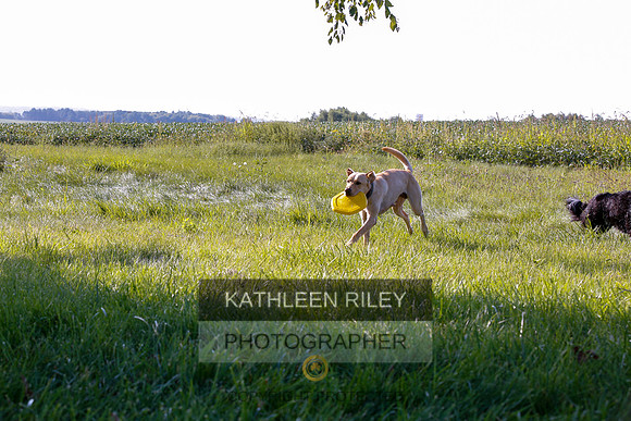 2022-KathleenRileyPhotography-7911