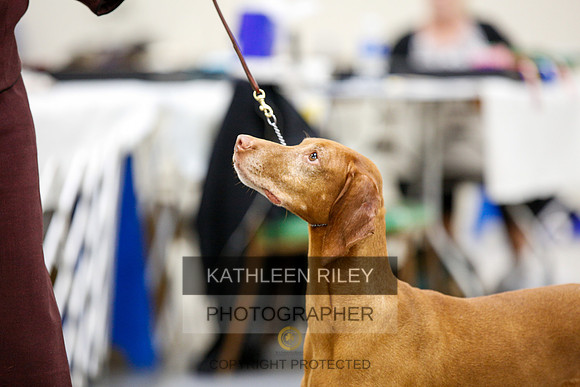 2022-KathleenRileyPhotography-2347