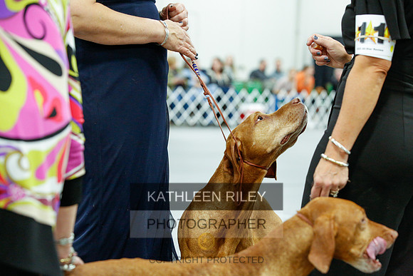 2022-KathleenRileyPhotography-0169