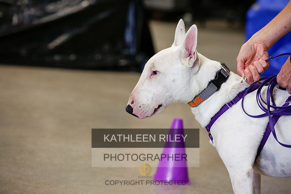 2022-KathleenRileyPhotography-7436