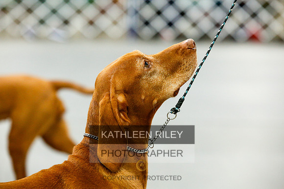 2022-KathleenRileyPhotography-9992