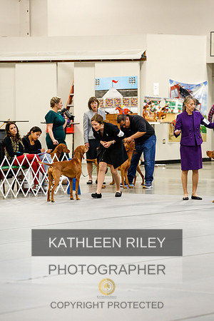 2022-KathleenRileyPhotography-1056