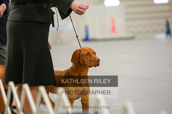 2022-KathleenRileyPhotography-8507