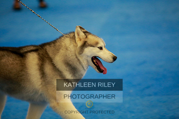 2022-KathleenRileyPhotography-6446