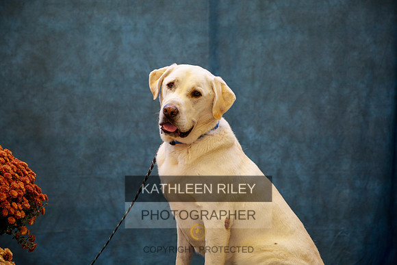2022-KathleenRileyPhotography-0173