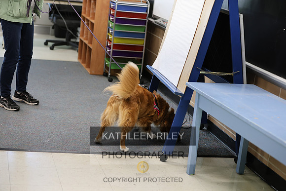 SJLT6981