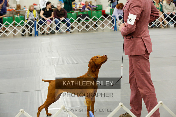 2022-KathleenRileyPhotography-0586