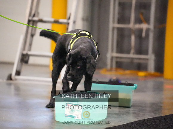 2022-KathleenRileyPhotography-08146