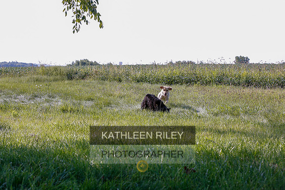 2022-KathleenRileyPhotography-7906