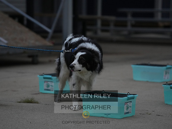 2022-KathleenRileyPhotography030
