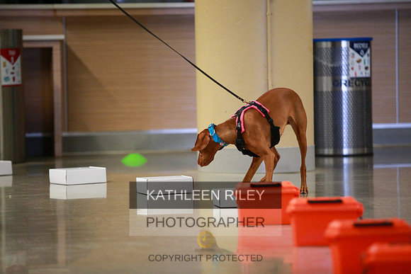 2022-KathleenRileyPhotography-7686