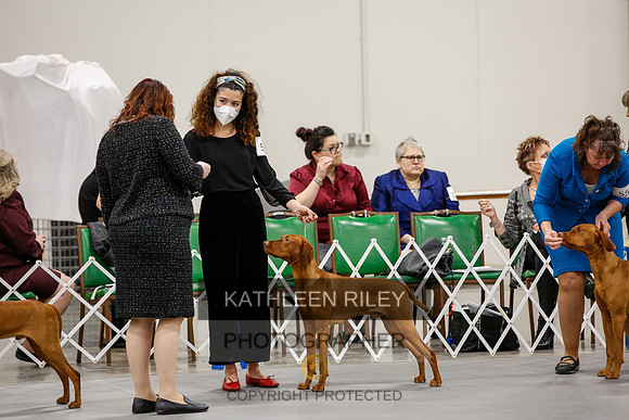 2022-KathleenRileyPhotography-1464