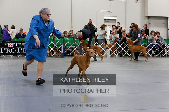 2022-KathleenRileyPhotography-1362
