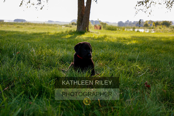 2022-KathleenRileyPhotography-5609