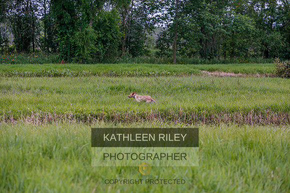 2022-KathleenRileyPhotography-3480