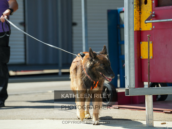 2022-KathleenRileyPhotography-04198