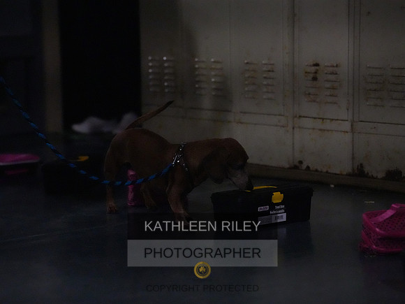 2022-KathleenRileyPhotography169