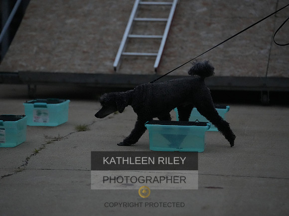 2022-KathleenRileyPhotography239