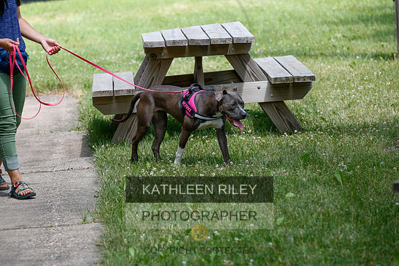 2022-KathleenRileyPhotography-9637