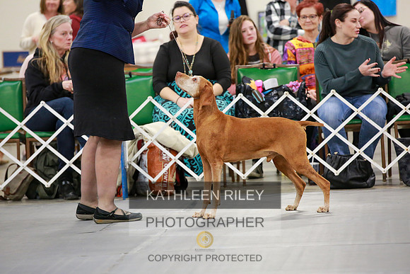 2022-KathleenRileyPhotography-8081