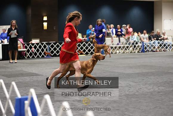 1N5A3265