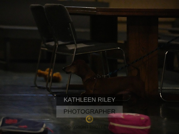 2022-KathleenRileyPhotography143