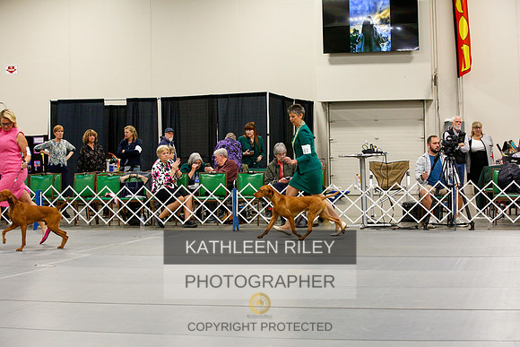 2022-KathleenRileyPhotography-0766