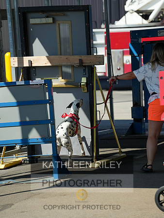 2022-KathleenRileyPhotography-03949