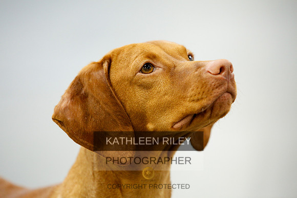 2022-KathleenRileyPhotography-9836