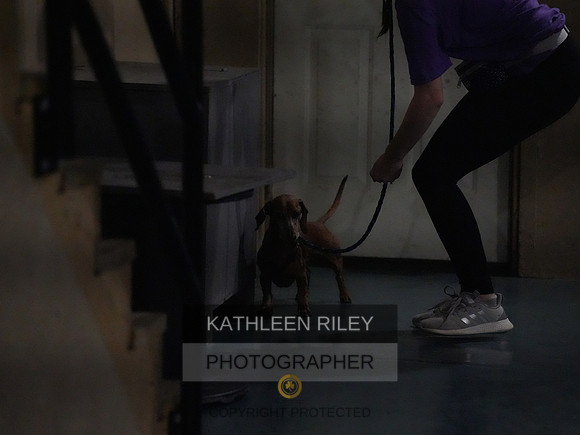 2022-KathleenRileyPhotography158
