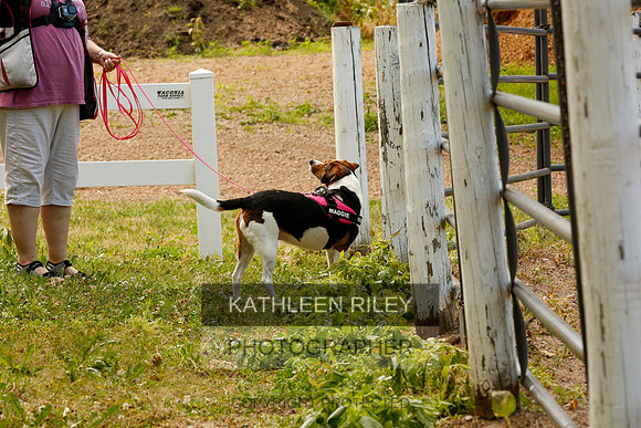 2022-KathleenRileyPhotography-0039