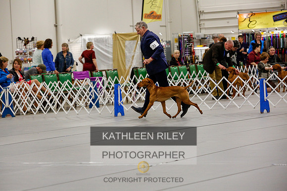 2022-KathleenRileyPhotography-1937