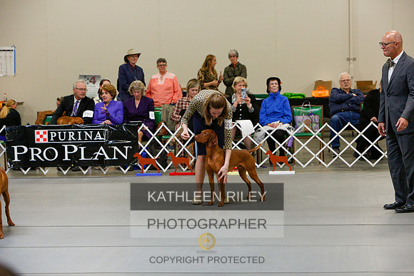 2022-KathleenRileyPhotography-5911