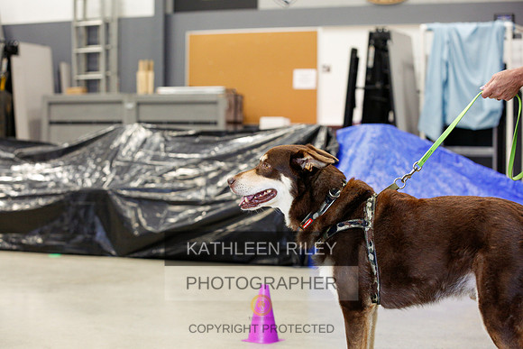 2022-KathleenRileyPhotography-7181