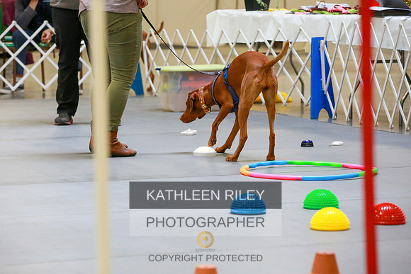 2022-KathleenRileyPhotography-7818