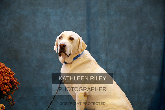 2022-KathleenRileyPhotography-0165