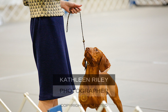 2022-KathleenRileyPhotography-0927