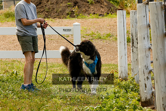 2022-KathleenRileyPhotography-0032